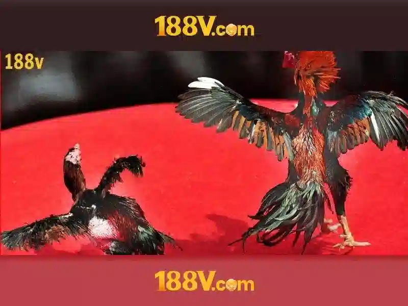 Chỉ số kỹ thuật Casino trực tiếp 8K