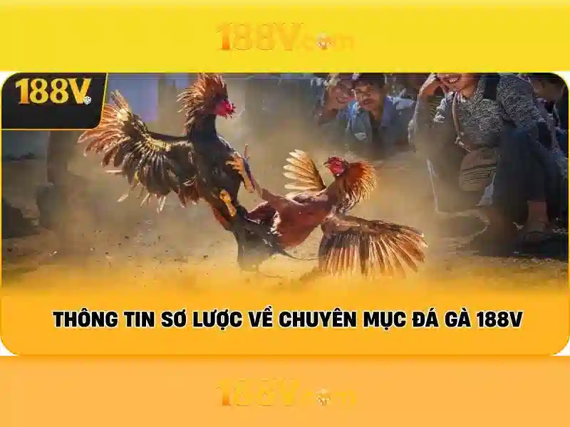 Giao diện nhà cái hoàn hảo