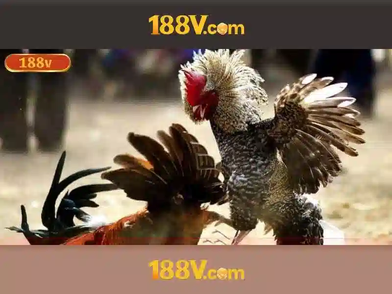 Giao diện nhà cái hoàn hảo