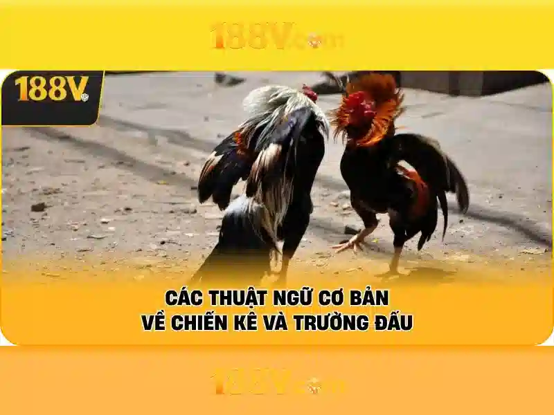 Giao diện nhà cái hoàn hảo