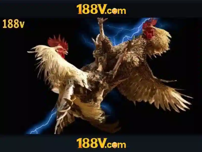 Hỗ trợ khách hàng 188v