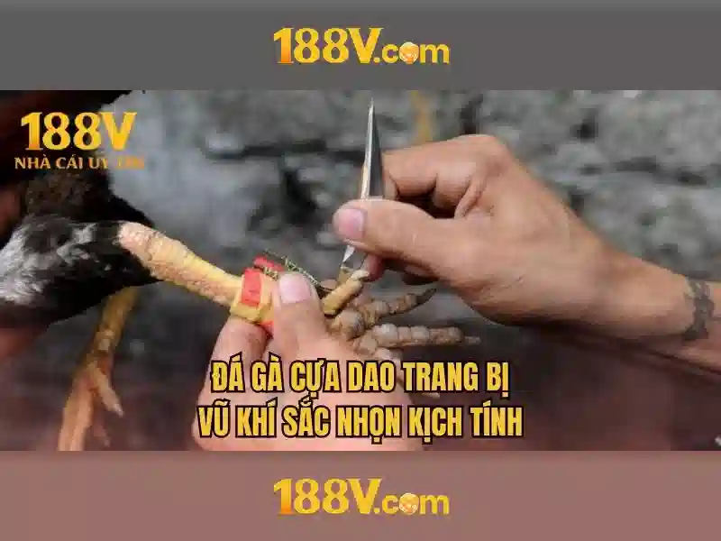 Nguyên lý và cảm hứng