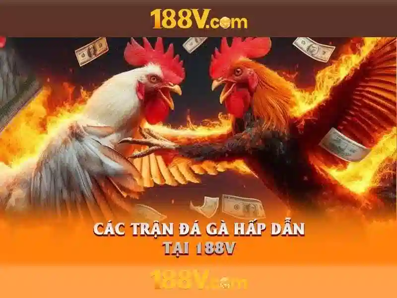 Khám phá 188v trong thiết kế và công nghệ Giao diện nhà cái hoàn hảo