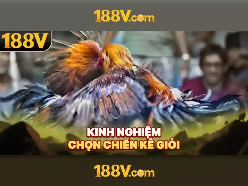 Nguồn gốc và ý nghĩa