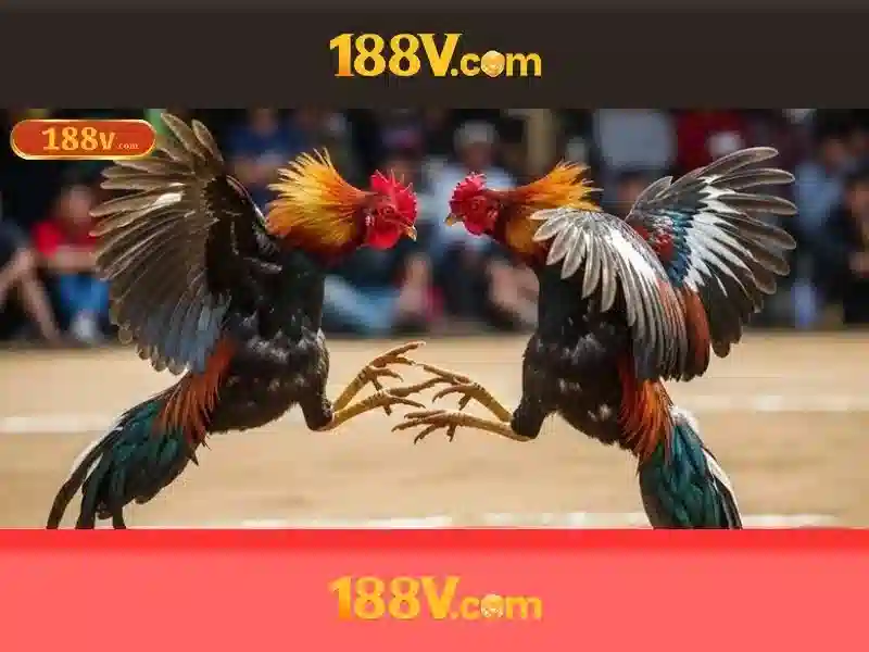 Giới thiệu về 188V