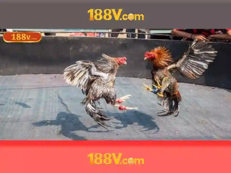 Biện pháp bảo vệ và khi nào cần chú ý