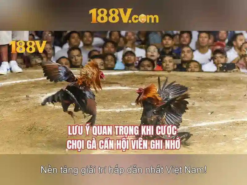 Điện áp và an toàn