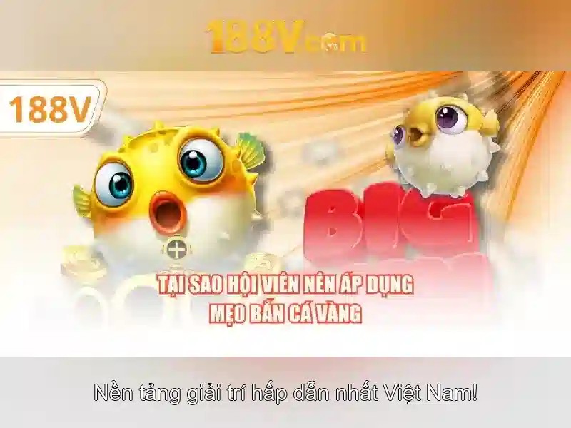 Giới thiệu về 188v