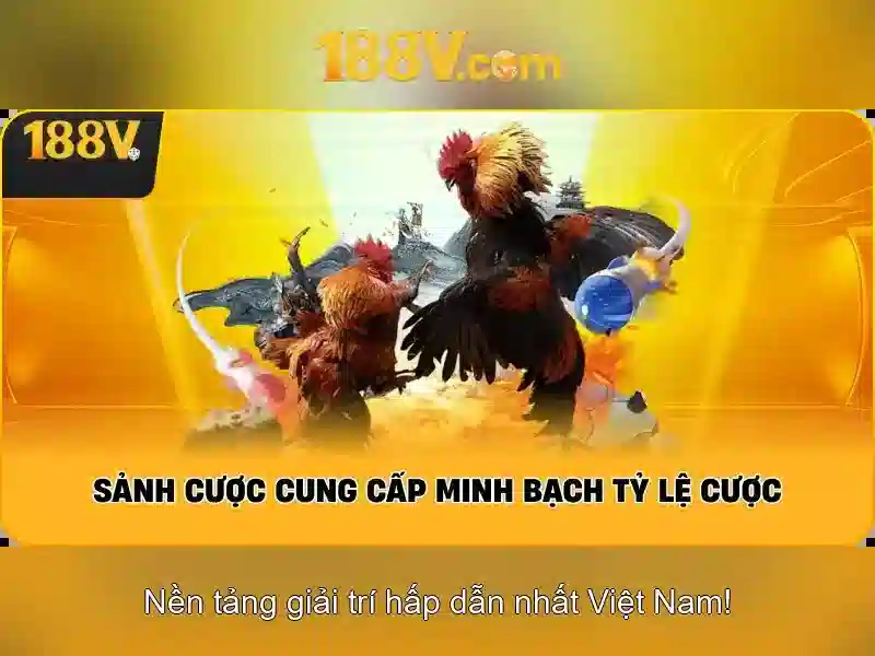 188V: Hiểu về điện áp 188V và ứng dụng của nó Giao diện nhà cái hoàn hảo