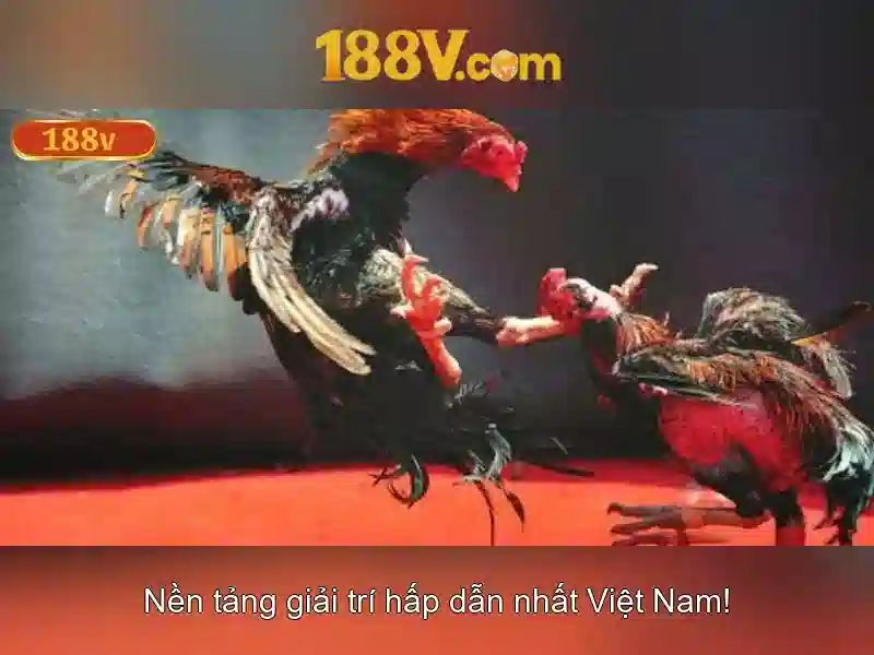Ảnh hưởng đến trải nghiệm người dùng
