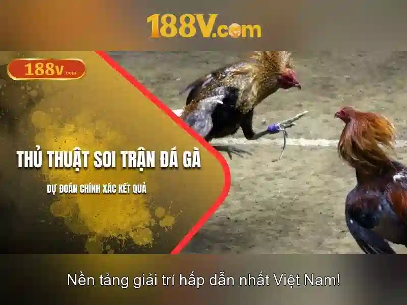 Hướng dẫn nhận diện tên miền chính thức & gia cố tài khoản