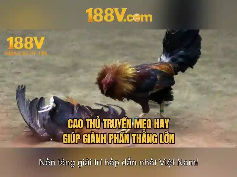 Chất liệu và công nghệ liên quan