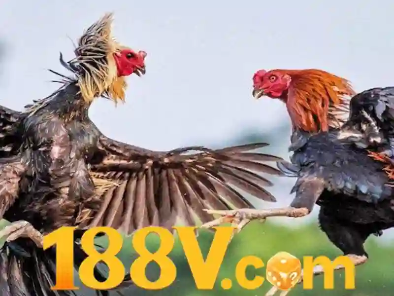 Pháp lý và giải quyết tranh chấp